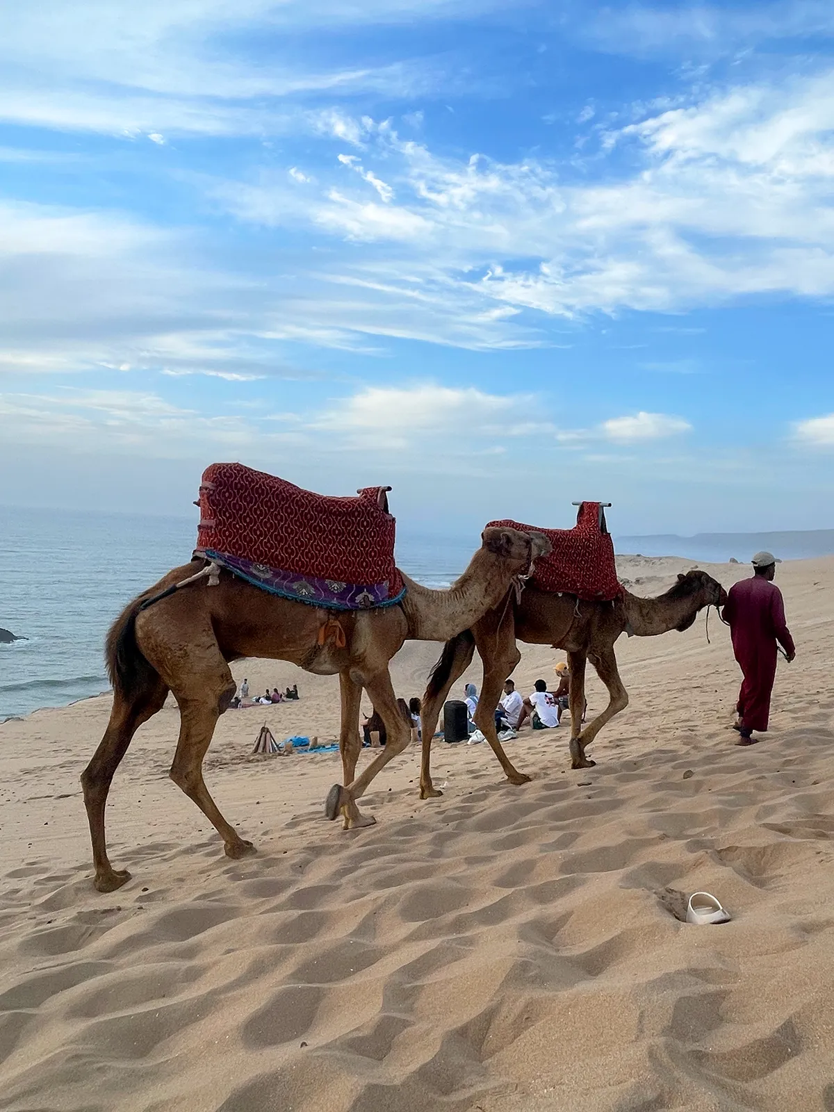 Guest camel ride near Taghazout as part of the cultural excursions offered by Taghazout Surf Villa